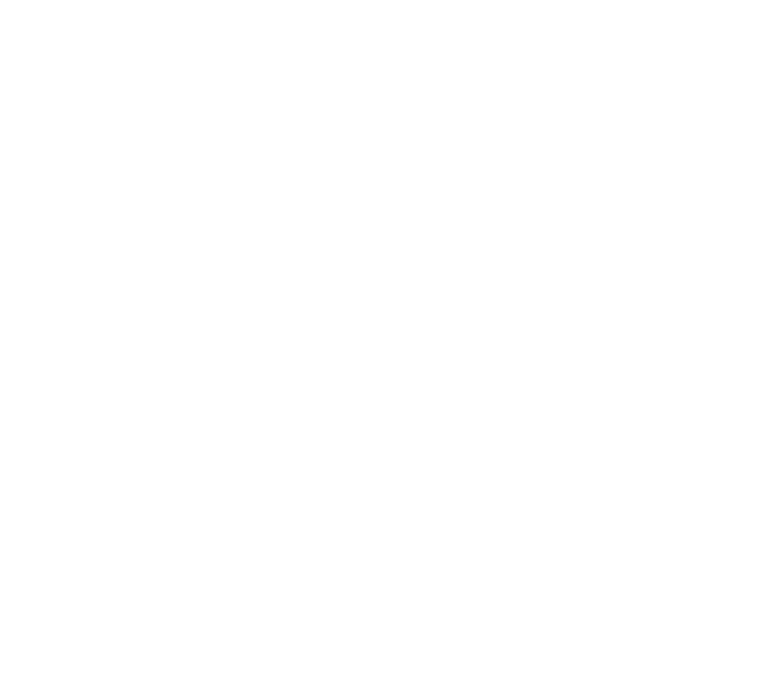 udife centrale